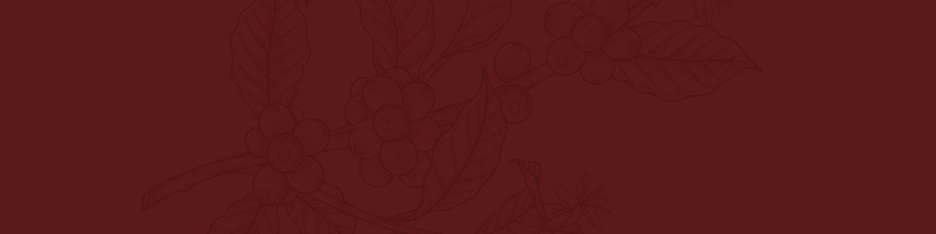 Fundo_Produtos.jpg